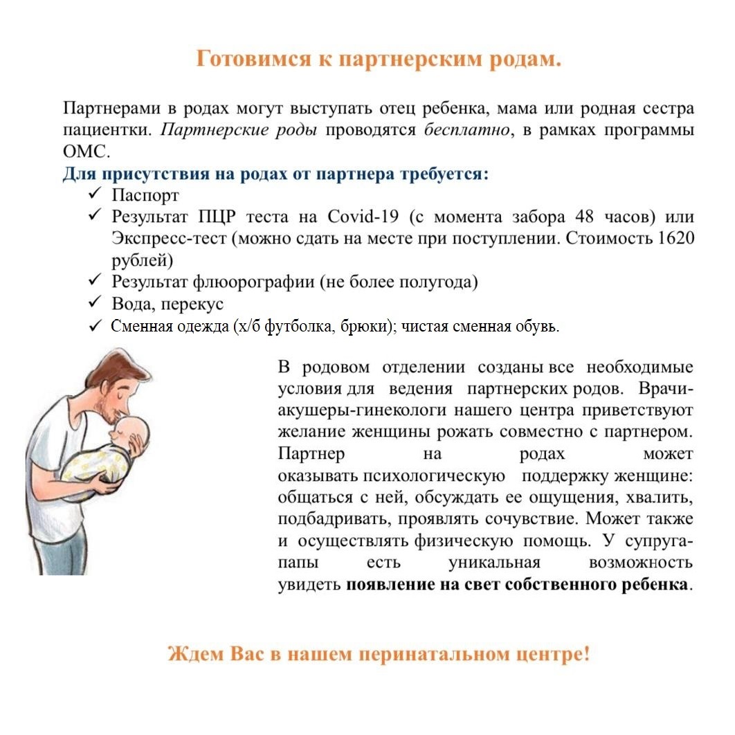 Изображение WhatsApp 2024-11-12 в 13.00.45_6c7fcd2e.jpg