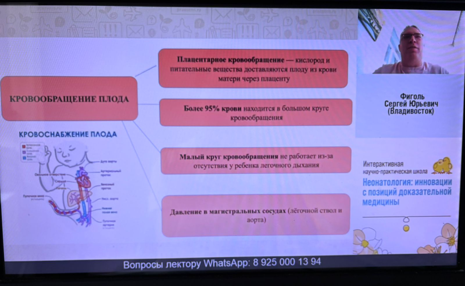 WhatsApp Image 2025-10-20 at 14.06.25.jpeg