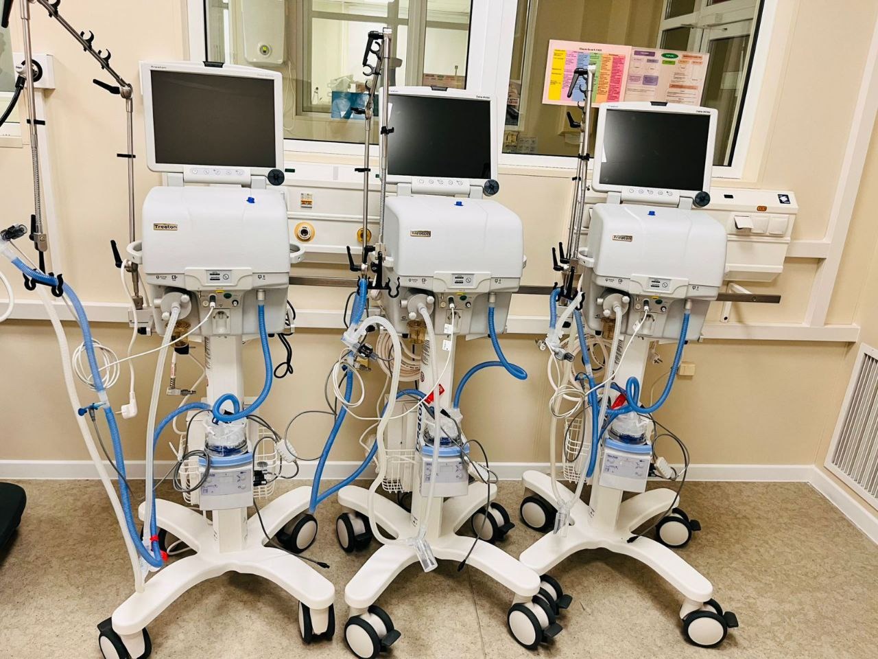 Изображение WhatsApp 2025-09-01 в 15.53.29_18bed38d.jpg