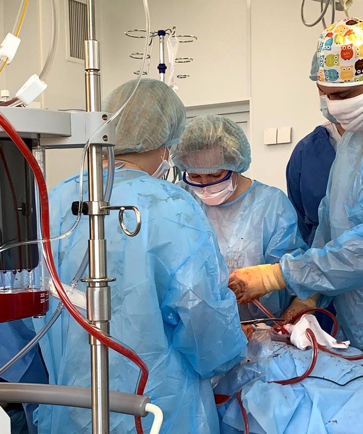 Изображение WhatsApp 2024-09-05 в 12.23.16_ce1e184b.jpg